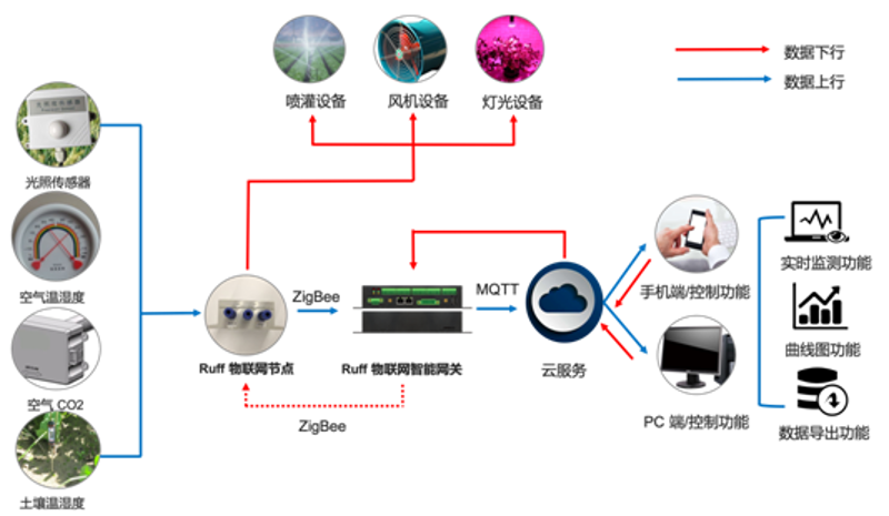 如何让中医适宜技术在农村地区焕发新活力？