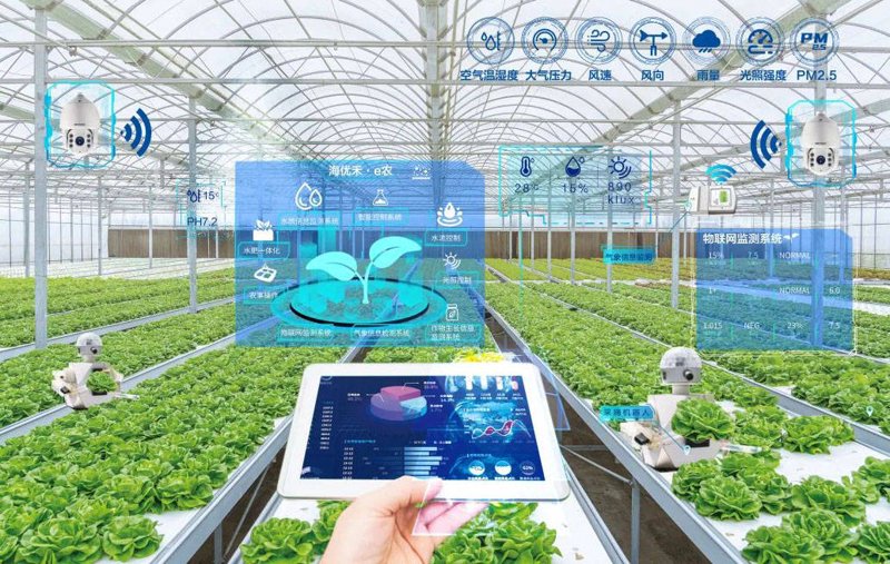 未来农业中的中医适宜技术：从传统到现代的跨越