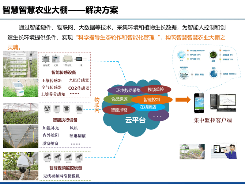 智慧农业包括哪些内容？让我们一起探索这个充满科技魅力的领域。