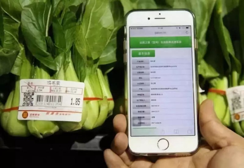 中医适宜技术在农业中的应用