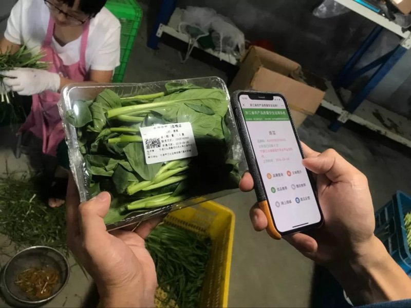如何让传统中医适宜技术在农村地区开花结果？让我们一起探索这一问题的答案。